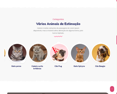 Script Para Pet Shop 6