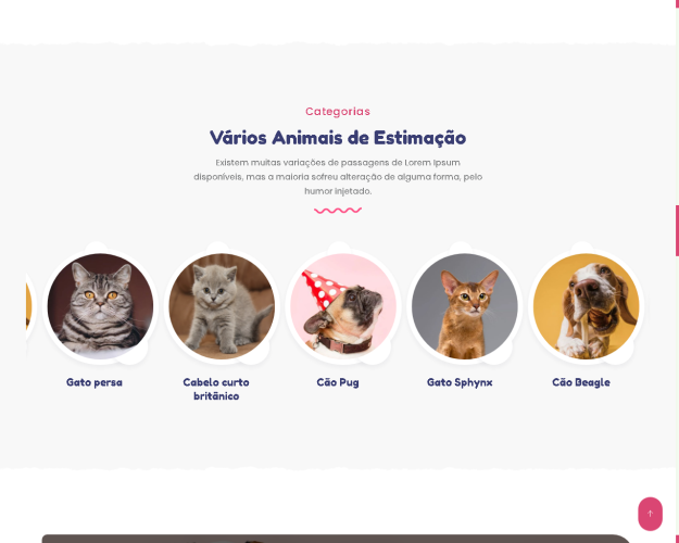 Script Para Pet Shop