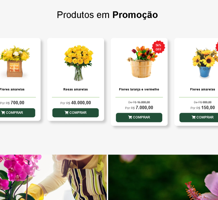 Sistema Site Para Floricultura