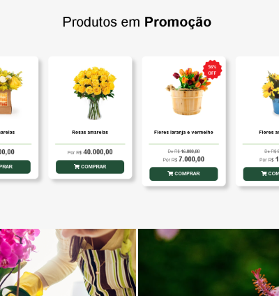 Sistema Site Para Floricultura 7